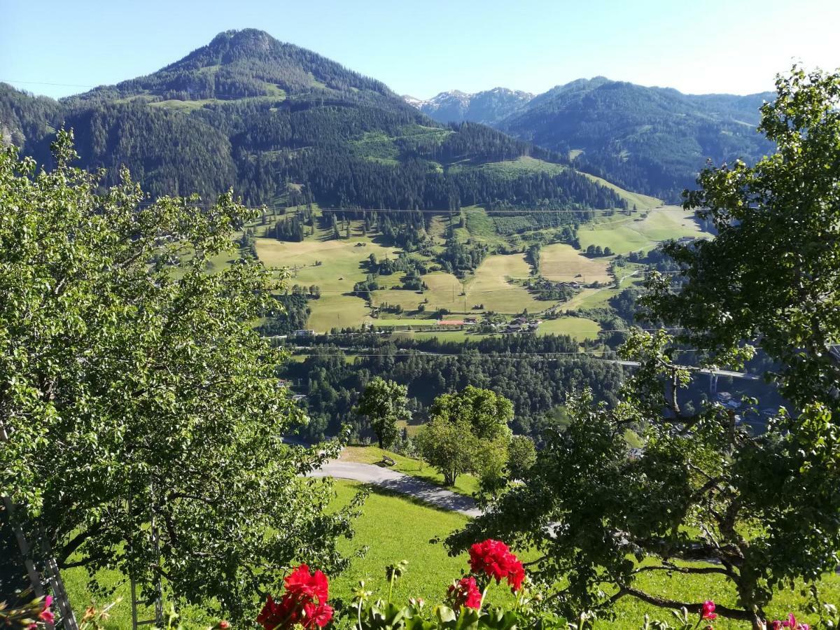 Biobergbauernhof Bergzeit Apartment In Goldegg Exteriör bild