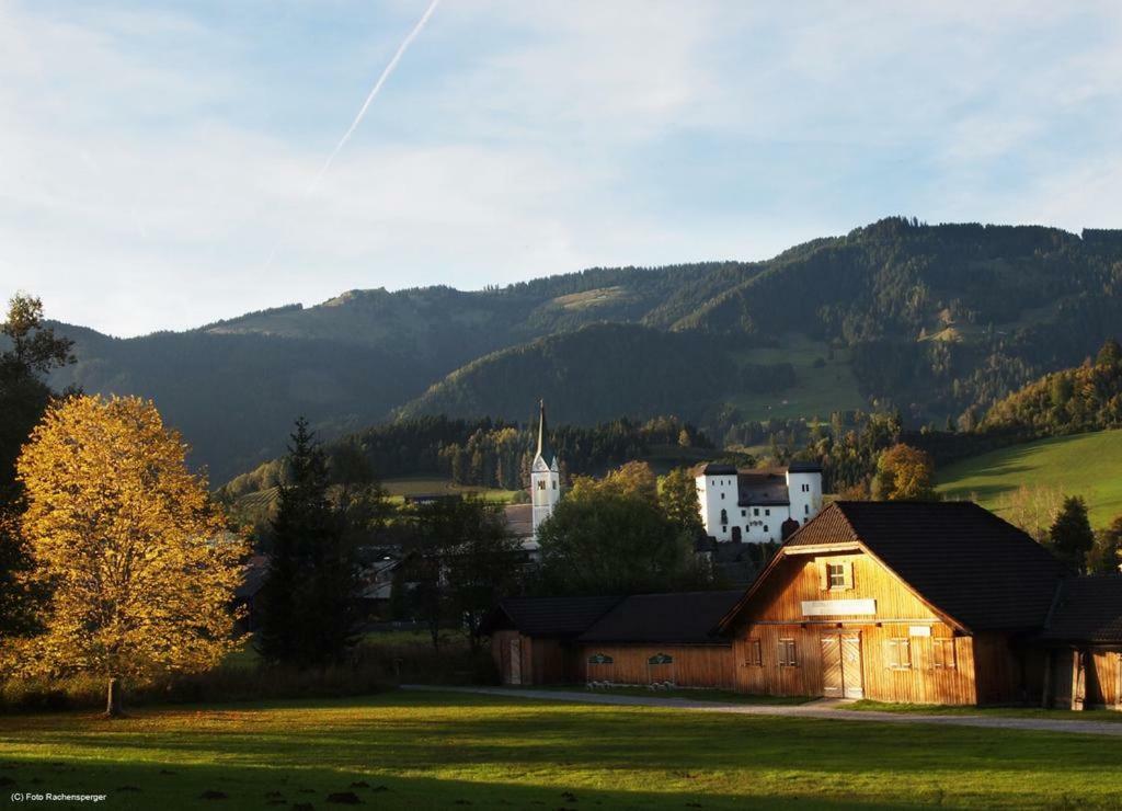 Biobergbauernhof Bergzeit Apartment In Goldegg Exteriör bild
