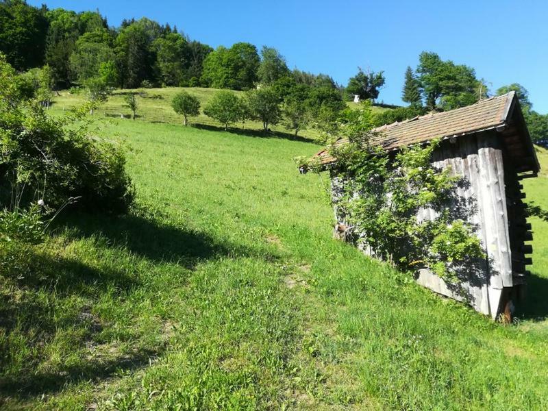 Biobergbauernhof Bergzeit Apartment In Goldegg Exteriör bild